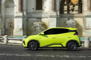BYD Dolphin Surf - 28