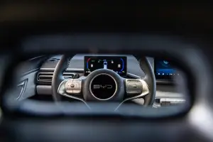 BYD Dolphin Surf - 29
