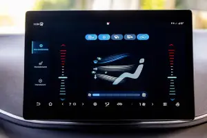 BYD Dolphin Surf - 38