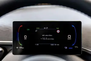 BYD Dolphin Surf - 41