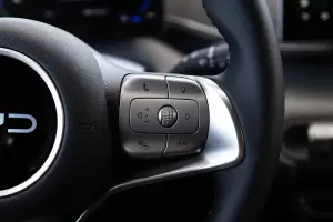 BYD Dolphin Surf - 40