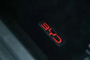 BYD Dolphin Surf - 42