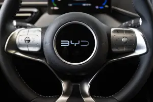 BYD Dolphin Surf - 44