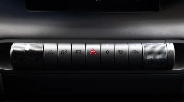 BYD Dolphin Surf - 49