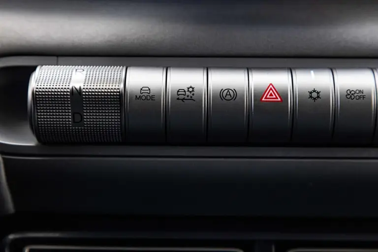 BYD Dolphin Surf - 52