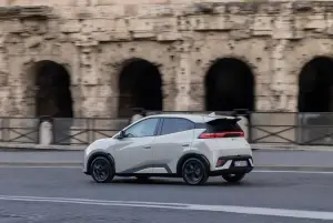 BYD Dolphin Surf - 67