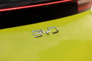 BYD Dolphin Surf - 7