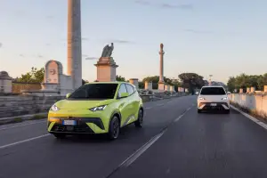BYD Dolphin Surf - 79