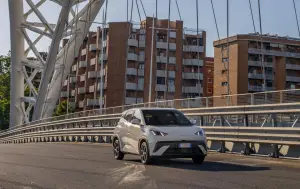 BYD Dolphin Surf - 101