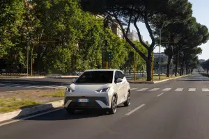 BYD Dolphin Surf - 95