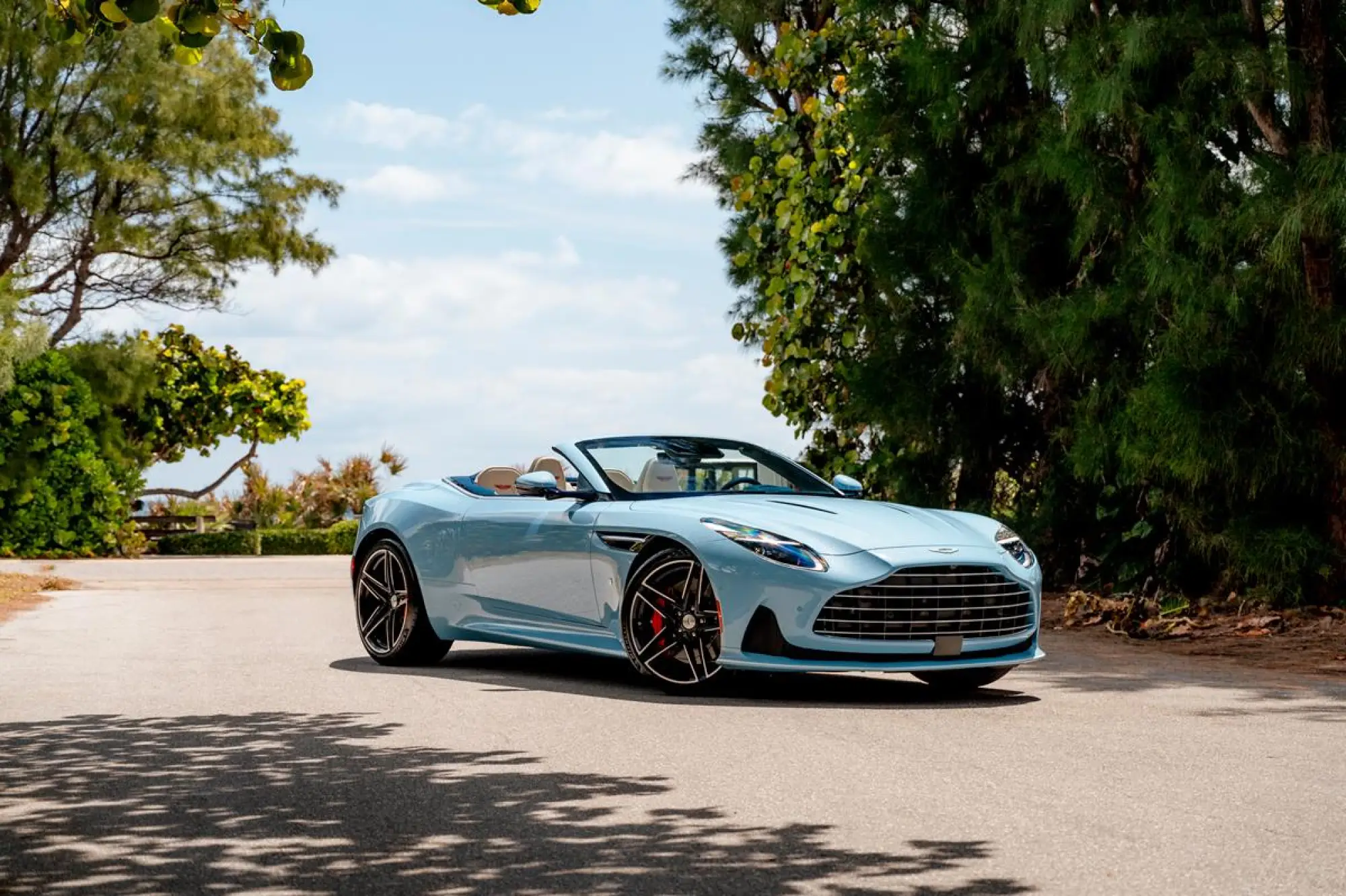Aston Martin DB12 Volante Palm Beach Edition - 14