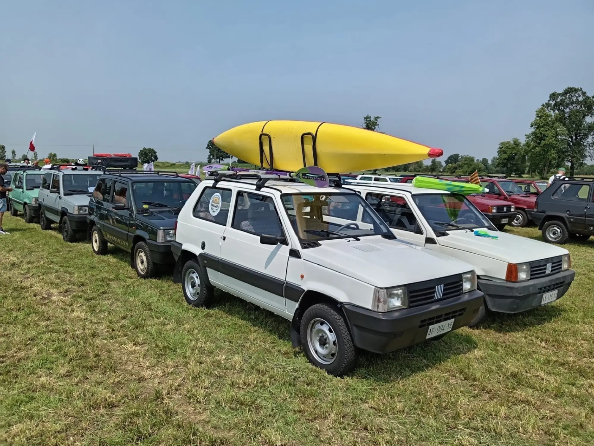 Panda - Raduno Pandino 2025 - 5