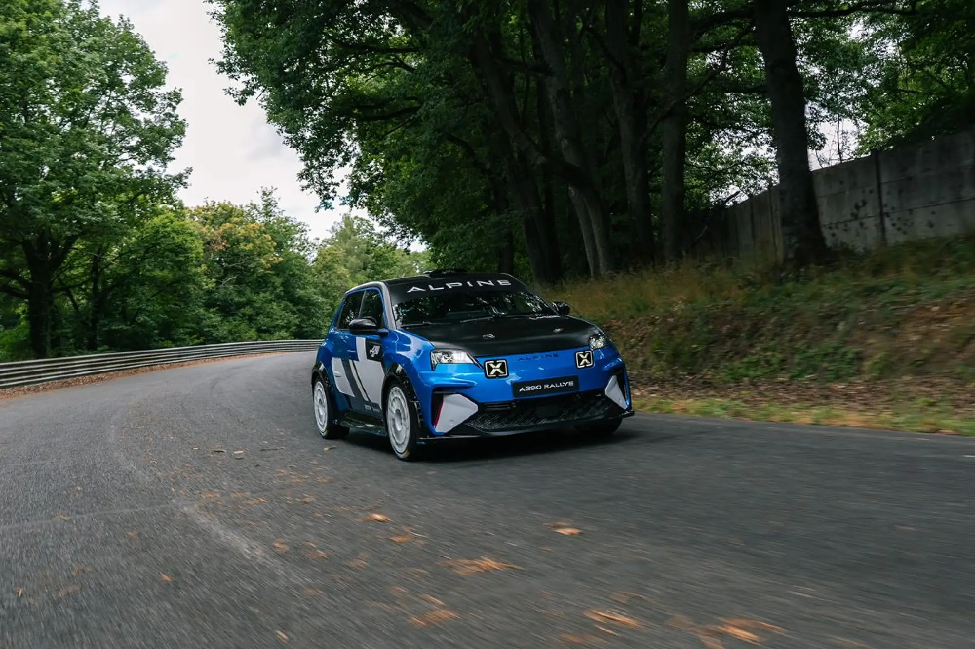 Alpine A290 Rallye - 19