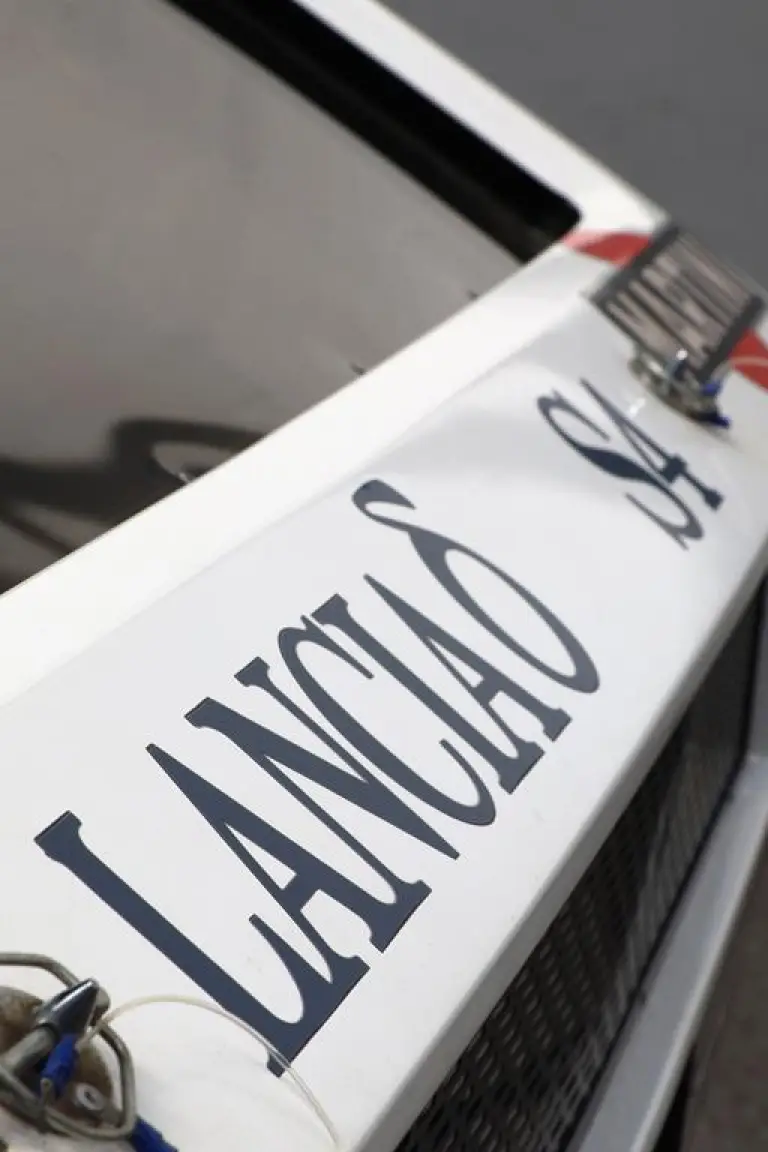 Lancia Delta S4 e Ypsilon Rally4 HF - 5