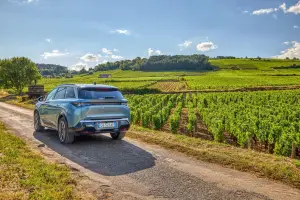 Peugeot E-5008 - Borgogna