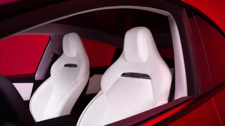 Tesla Model Y Performance - 4