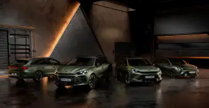 Cupra Tribe Edition - 15