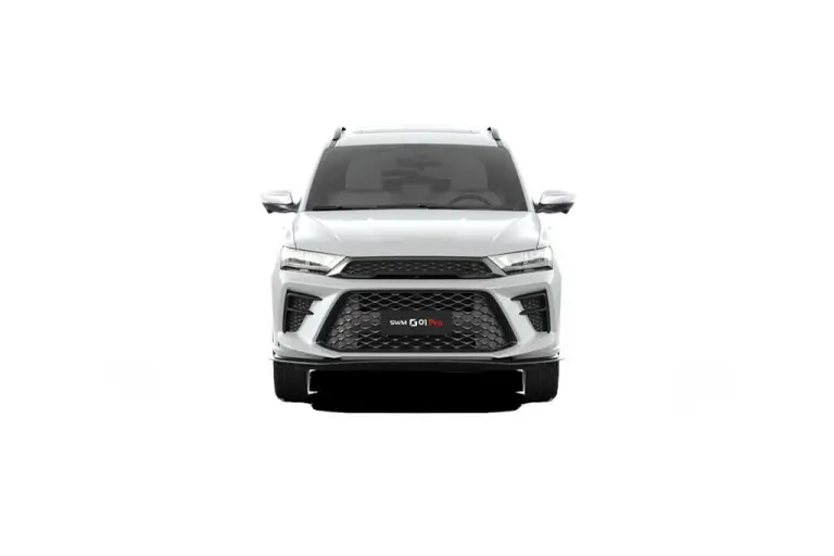 SWM G01 PRO - 1