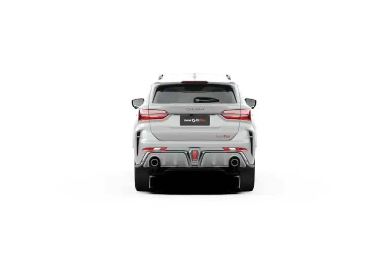 SWM G01 PRO - 5