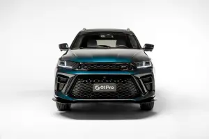 SWM G01 PRO - 79