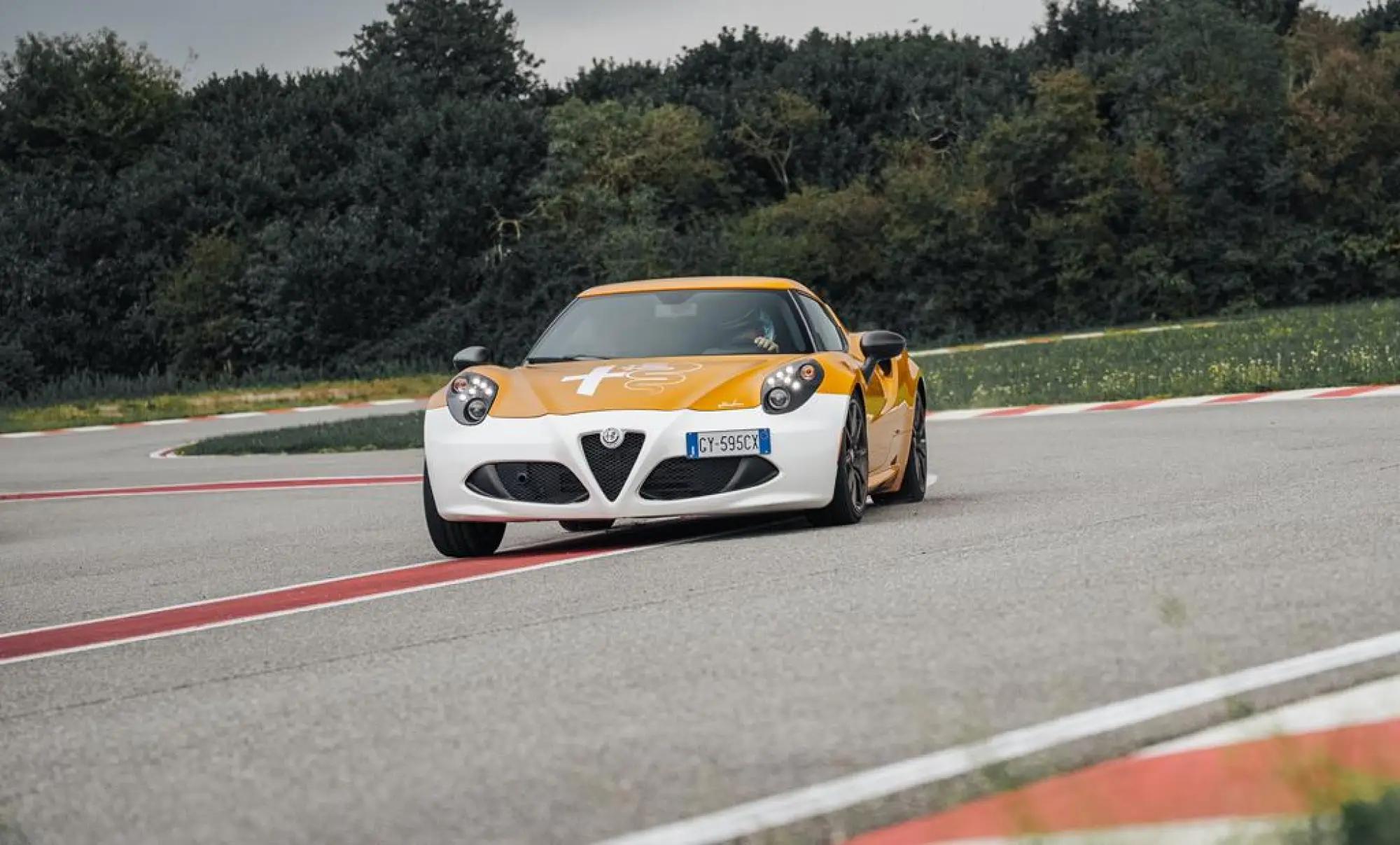 Alfa Romeo 4C Collezione GT Nicola Larini - 5