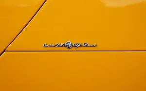 Alfa Romeo 4C Collezione GT Nicola Larini - 9