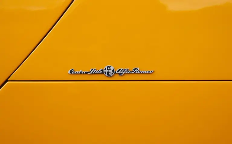 Alfa Romeo 4C Collezione GT Nicola Larini - 9