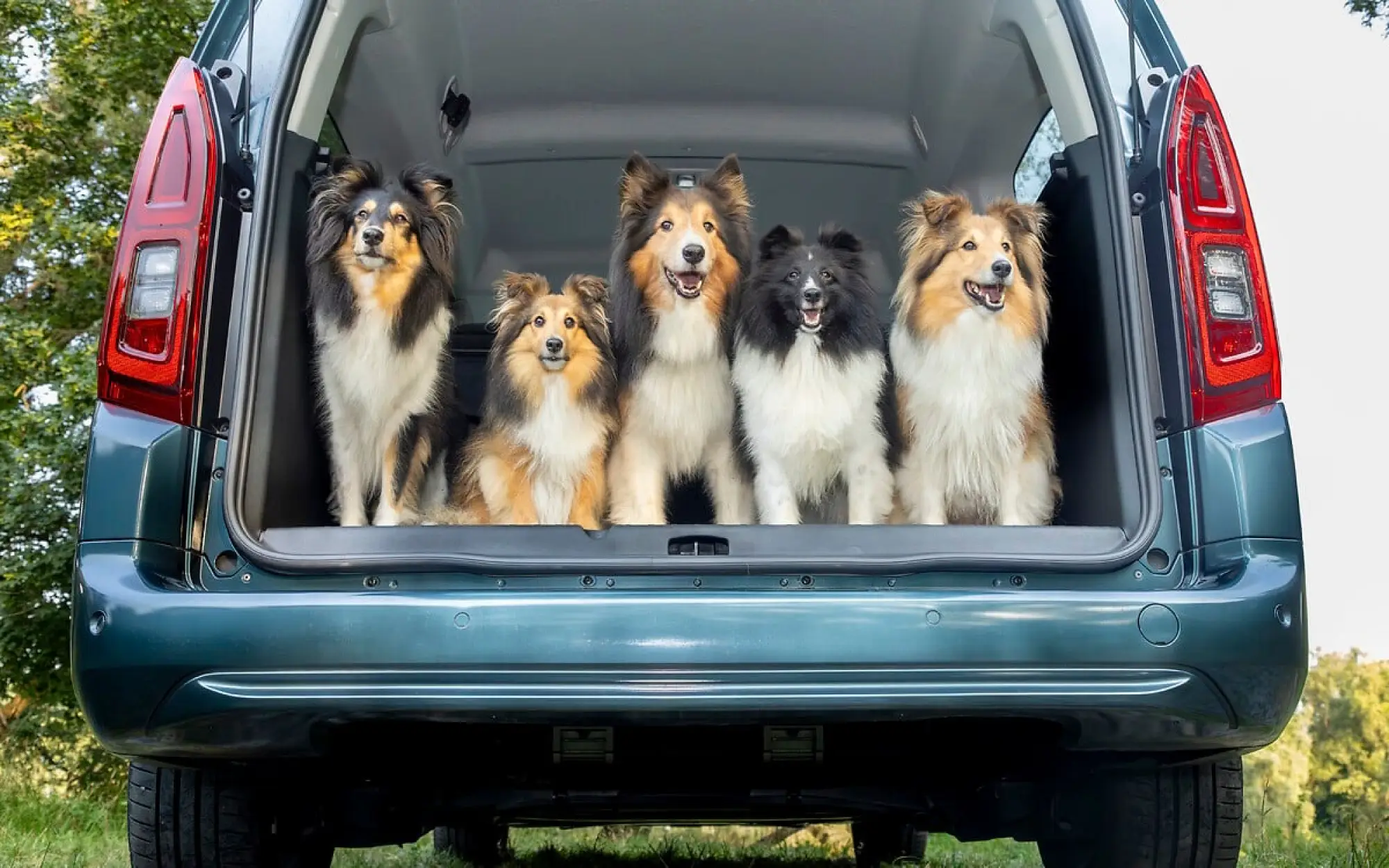Opel Combo Electric - per cani e le loro famiglie - 1