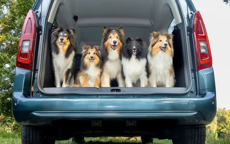 Opel Combo Electric - per cani e le loro famiglie - 1