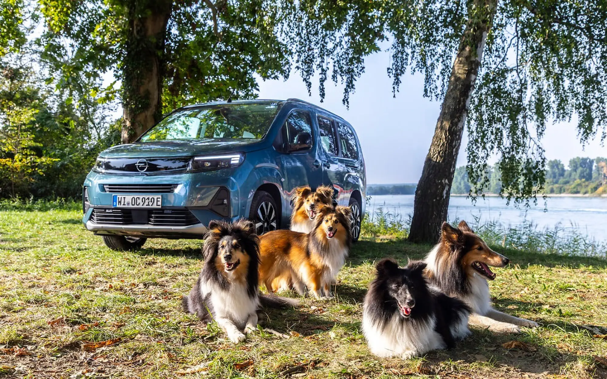 Opel Combo Electric - per cani e le loro famiglie - 3