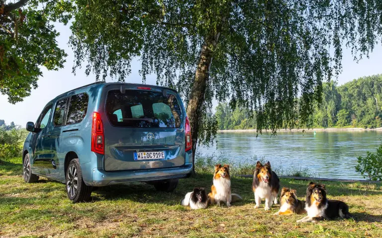 Opel Combo Electric - per cani e le loro famiglie - 2