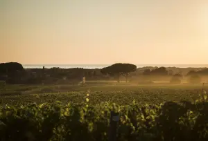 Maserati Grecale Tributo Il Bruciato