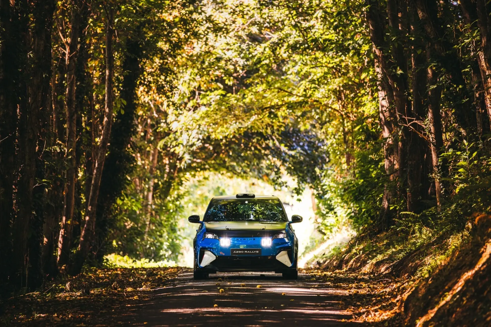 Alpine A290 Rallye - Foto ufficiali - 26