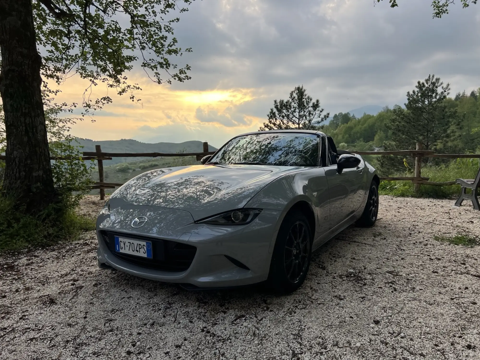 Galleria 2025-11-11 12-49 - 1