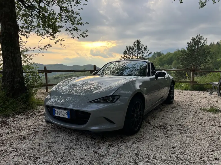 Galleria 2025-11-11 12-49 - 1