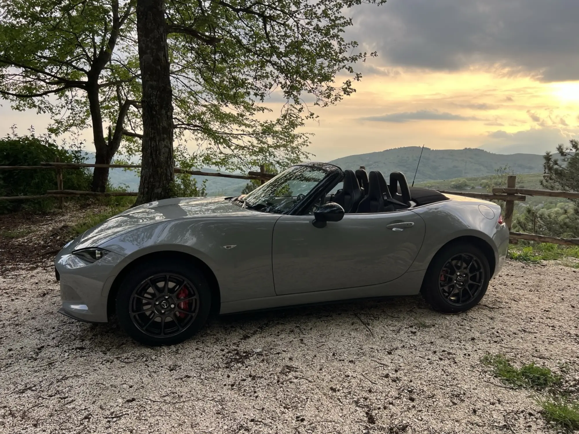 Galleria 2025-11-11 12-49 - 2