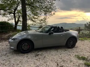 Galleria 2025-11-11 12-49