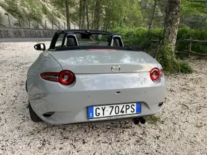 Galleria 2025-11-11 12-49