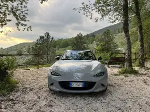 Galleria 2025-11-11 12-49