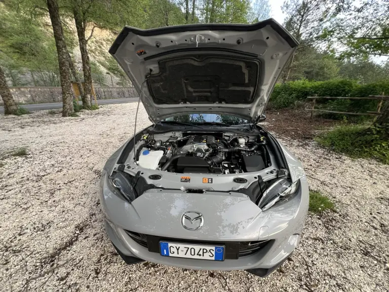 Galleria 2025-11-11 12-49 - 7