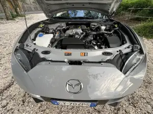 Galleria 2025-11-11 12-49