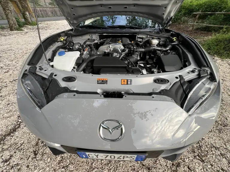 Galleria 2025-11-11 12-49 - 11