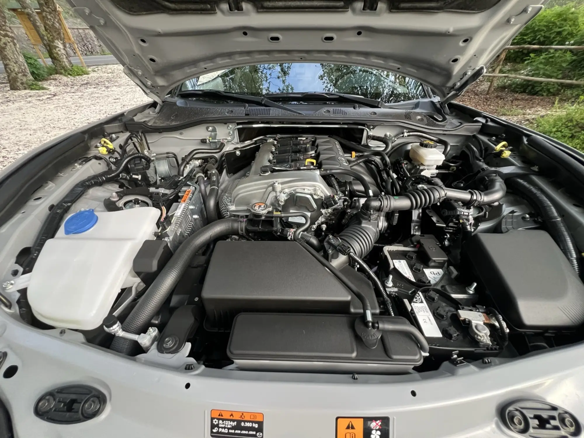 Galleria 2025-11-11 12-49 - 9