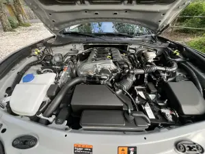 Galleria 2025-11-11 12-49