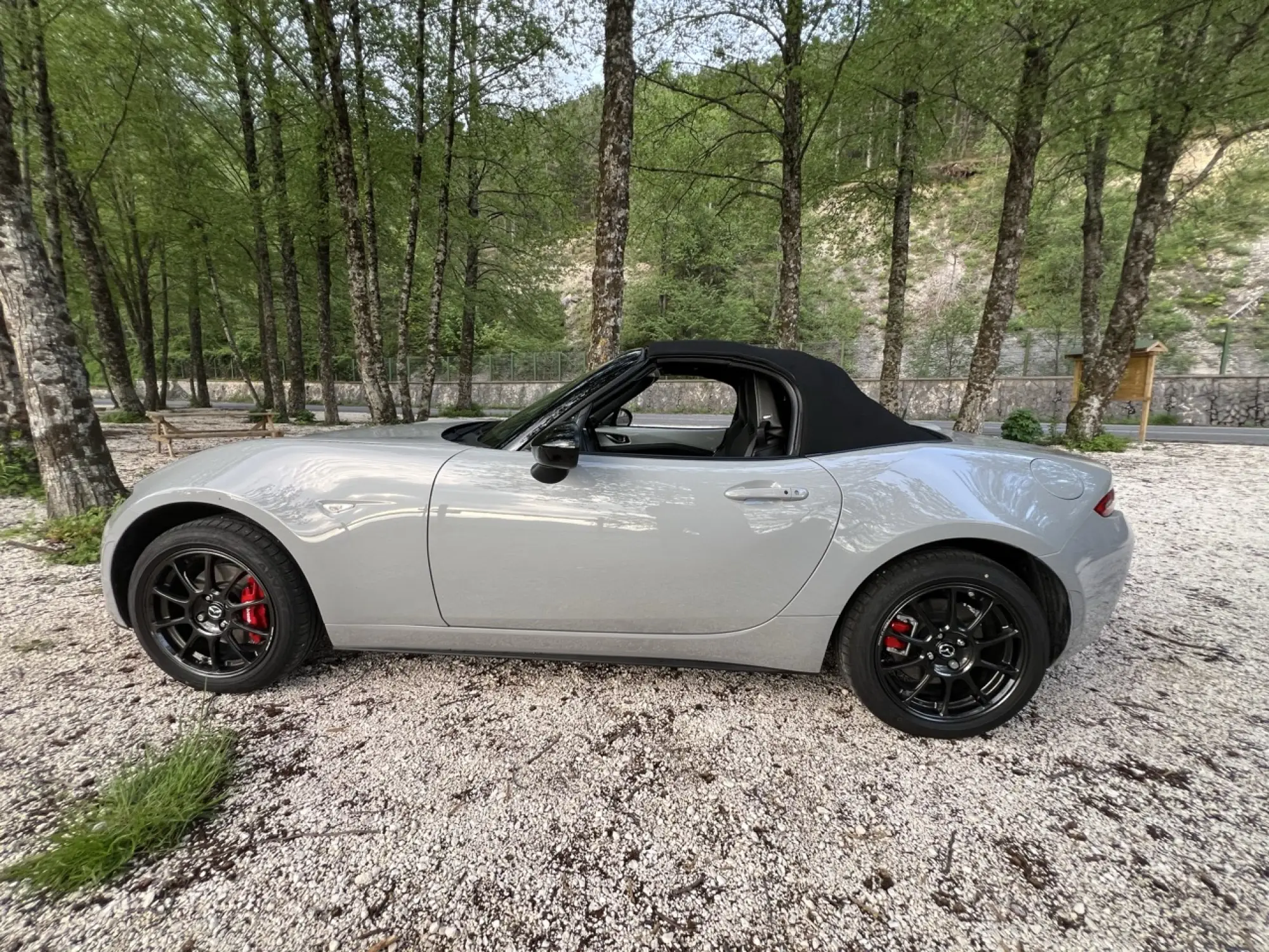 Galleria 2025-11-11 12-49 - 12