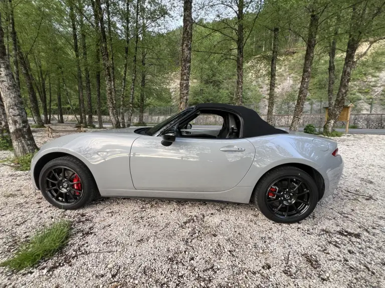 Galleria 2025-11-11 12-49 - 12