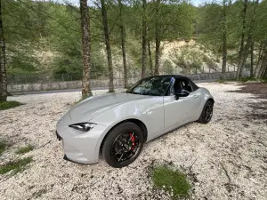 Galleria 2025-11-11 12-49