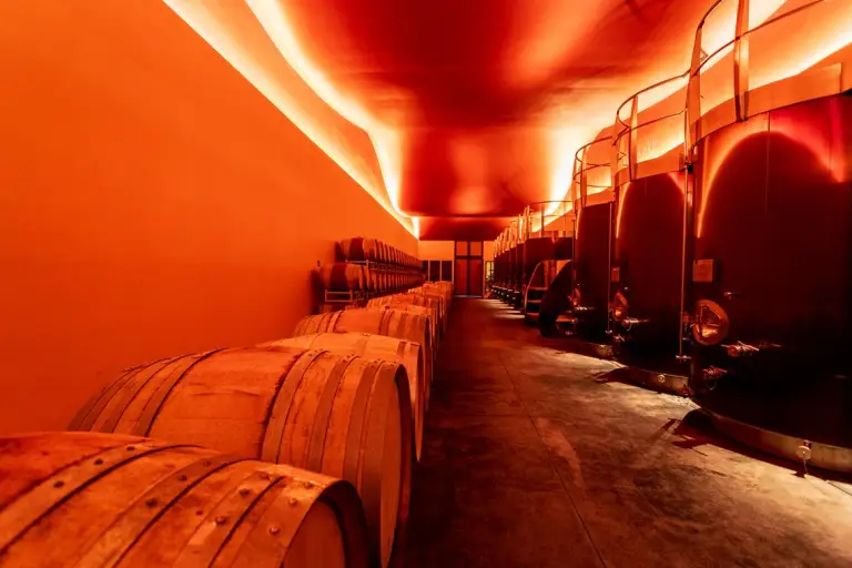 Mercedes Classe G - Primo anniversario GOT - 11