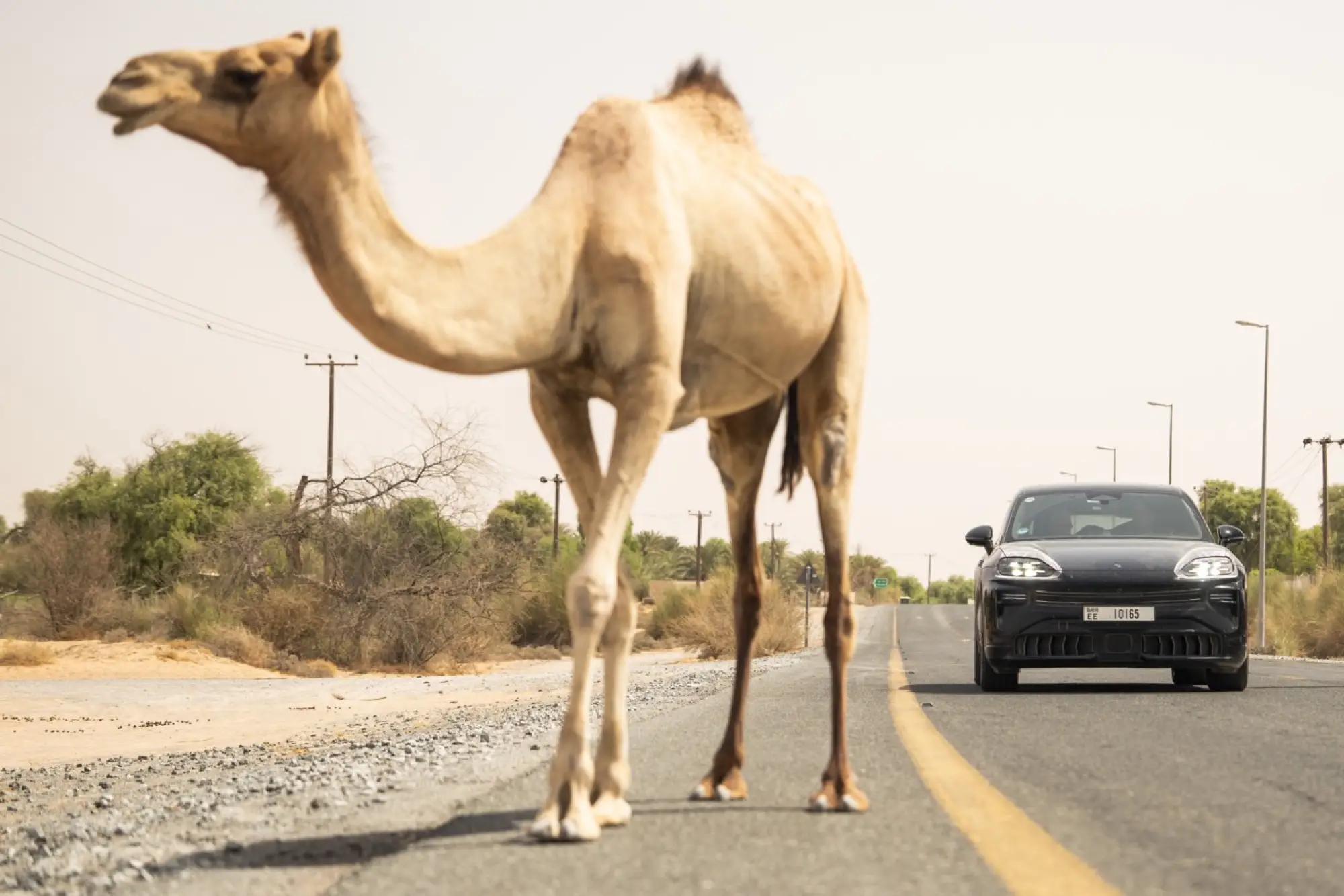Porsche Cayenne Electric - Foto Dubai - 7