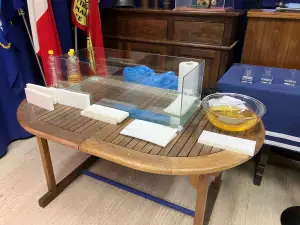 Hyundai - Mission to Blue